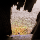 esyfloresyfantasmagorie avatar