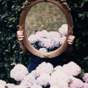 eternal-darkness avatar