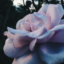 eternal-maniac avatar