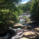 eternal-vegan-stoner avatar