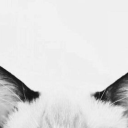 eternalamericana avatar