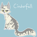 eternally-cinderpelt avatar