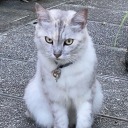 eternalwandering avatar