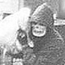 eternity-chaos avatar