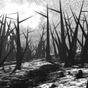 ethan-elliott avatar