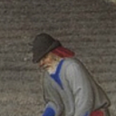 ethelred-the-peasant avatar