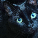 ethereal-writes avatar