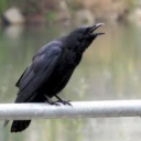 etherealdaddii avatar