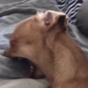 etherealflowers avatar