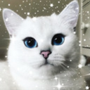 etherealkittys avatar