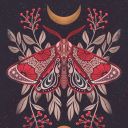 etherealsdreaming avatar