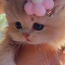 etherial-brat avatar