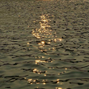 ethnicdistance avatar