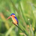 ethnicityfelicity avatar