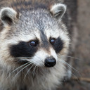 etranges-enquetes avatar