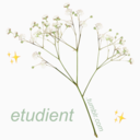 etudient avatar