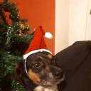 eu-estou-com-fome avatar