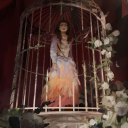 eulaliehoneybaird avatar