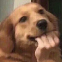 euphoria-universe avatar