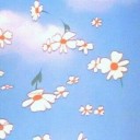 eurekayourfleur avatar