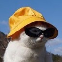 euripidxdherrera avatar