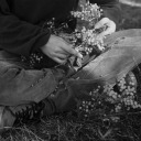 euroboyfriend avatar