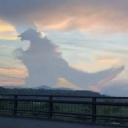 eurydiceauxenfers avatar