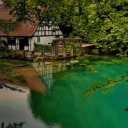 euterpeus-art avatar