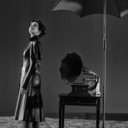 evagreenfangirl avatar