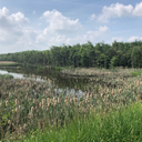 evaluatinglife avatar