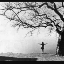 evanescensemm avatar