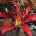 evangelinescherryblossom avatar