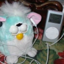 evanisnotonfiree avatar