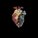 evcillesmistilki avatar