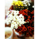 evelynyagualdelrosario avatar