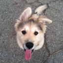 eveninthedark avatar