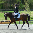 eventingequestrian avatar