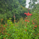 eventuallyforbiddencrucible avatar