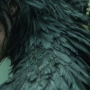 everdreamtree avatar