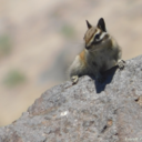 everettsphotography avatar