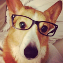 evergreen-cals avatar