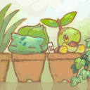 evergreen-dryad avatar