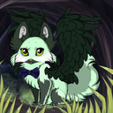 evergreen-mist avatar