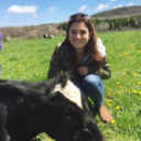 evergreendaydreams avatar