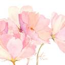 everlasting-sigh avatar