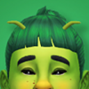 eversims avatar