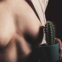 evertphotography avatar