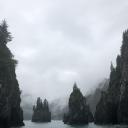 every-soul-a-battlefield avatar