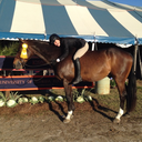 every-stridecounts-blog avatar