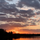 everybody-need-love avatar